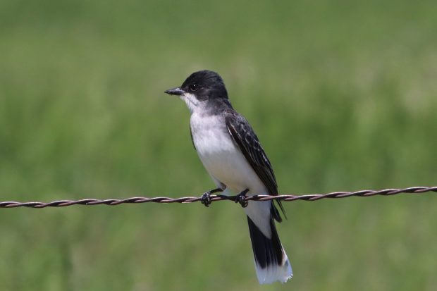 November Meeting Reminder @ Fontenelle Forest