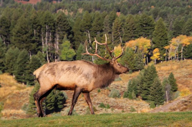 November Meeting Reminder @ Fontenelle Forest