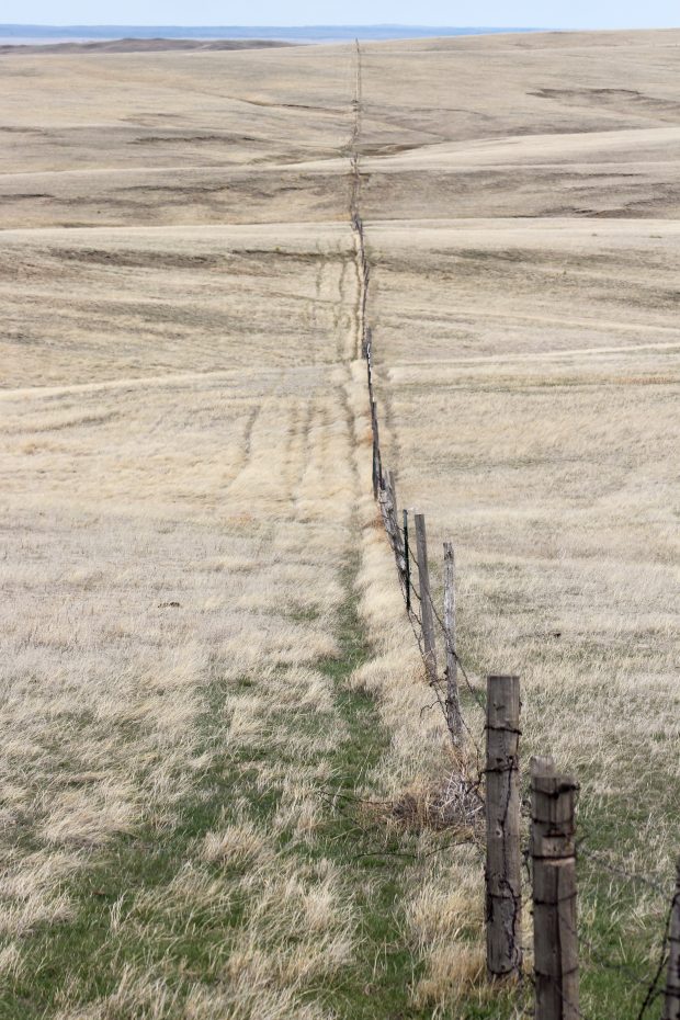 November Meeting Reminder @ Fontenelle Forest