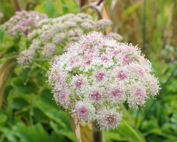 November Meeting Reminder @ Fontenelle Forest