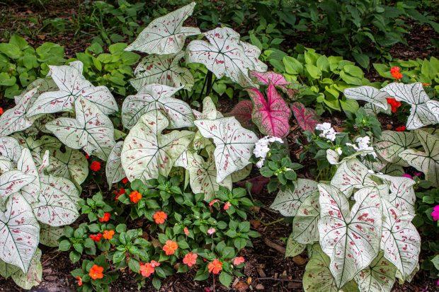 November Meeting Reminder @ Fontenelle Forest