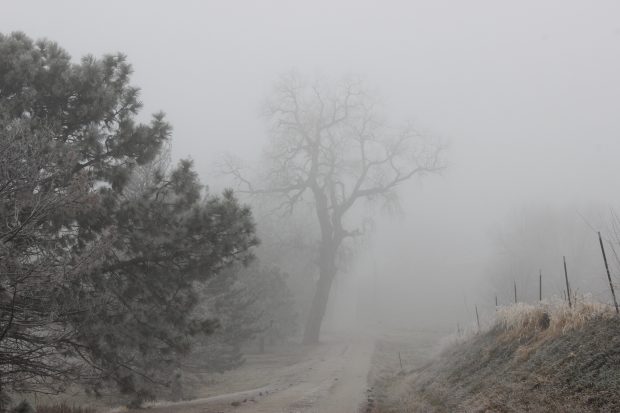 November Meeting Reminder @ Fontenelle Forest