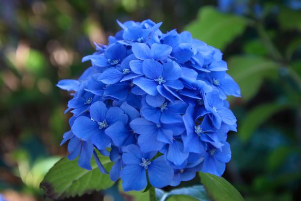 November Meeting Reminder @ Fontenelle Forest