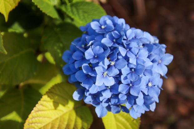 November Meeting Reminder @ Fontenelle Forest