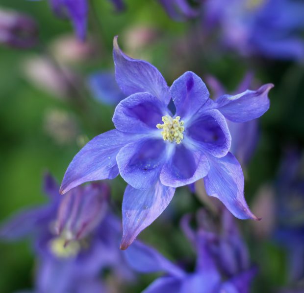 November Meeting Reminder @ Fontenelle Forest