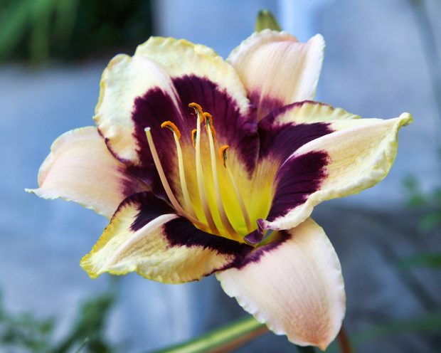 November Meeting Reminder @ Fontenelle Forest