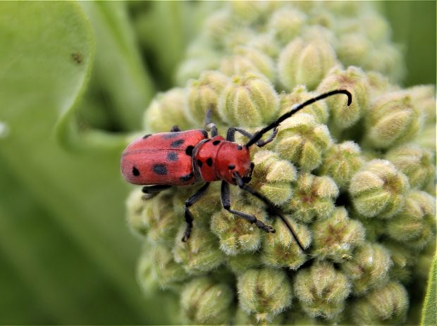 November Meeting Reminder @ Fontenelle Forest