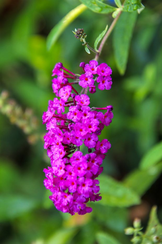 November Meeting Reminder @ Fontenelle Forest