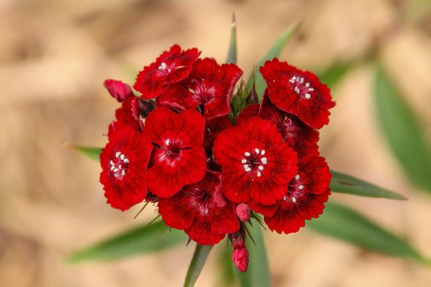 November Meeting Reminder @ Fontenelle Forest