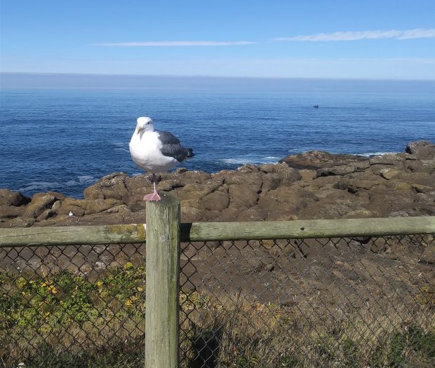 November Meeting Reminder @ Fontenelle Forest