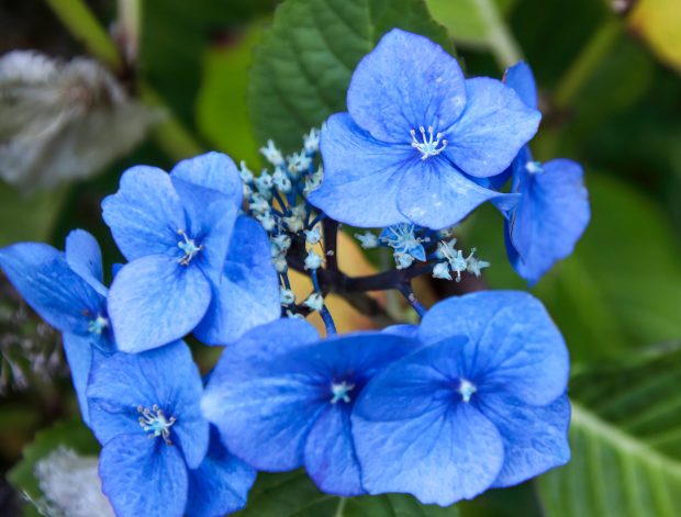 November Meeting Reminder @ Fontenelle Forest