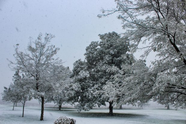 November Meeting Reminder @ Fontenelle Forest