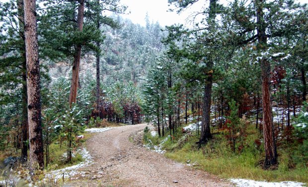 November Meeting Reminder @ Fontenelle Forest