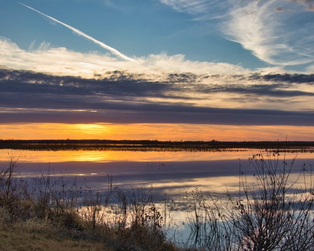 November Meeting Reminder @ Fontenelle Forest