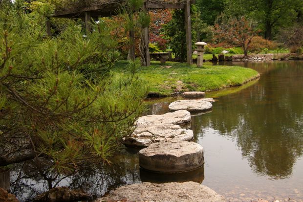 November Meeting Reminder @ Fontenelle Forest