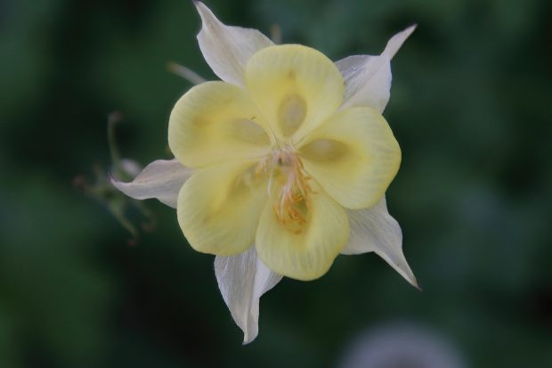 November Meeting Reminder @ Fontenelle Forest