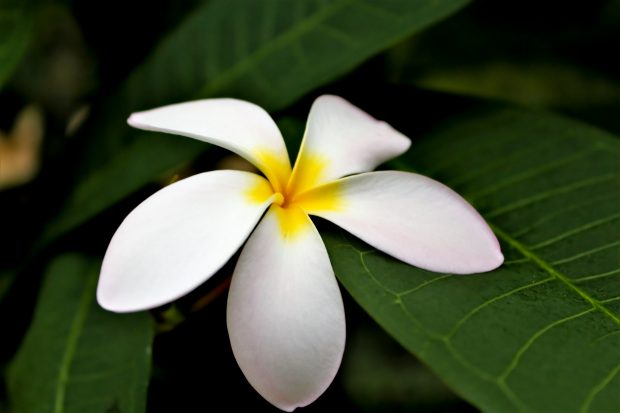 November Meeting Reminder @ Fontenelle Forest