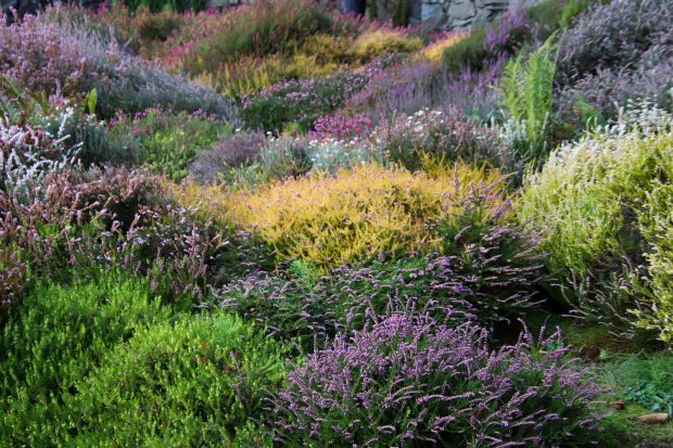 November Meeting Reminder @ Fontenelle Forest