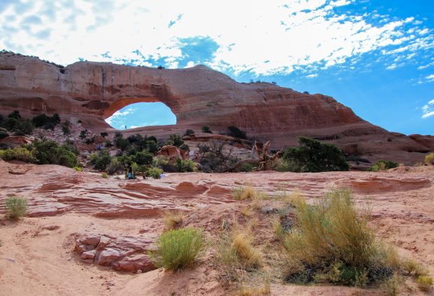 November Meeting Reminder @ Fontenelle Forest