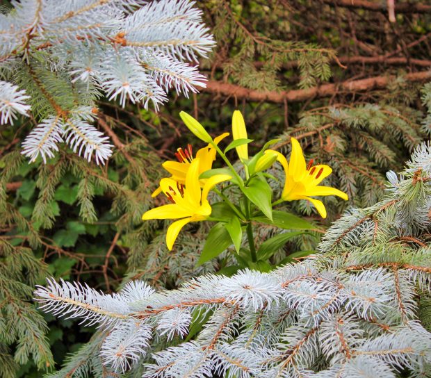 November Meeting Reminder @ Fontenelle Forest