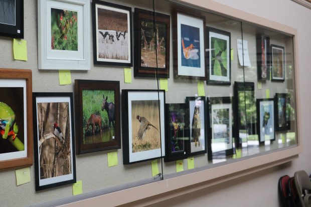 May 21st, 2026 Meeting – Early start 6:30pm @ Camp Brewster - Photograph the Raptors of Fontenelle Forest. @ Camp Brewster