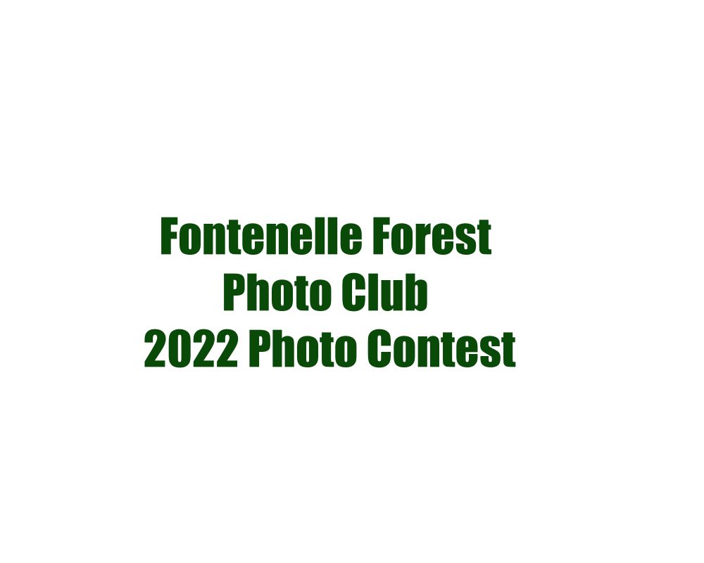 2022 FF title page