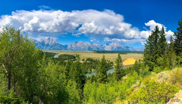 November Meeting Reminder @ Fontenelle Forest