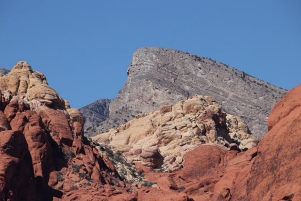 November Meeting Reminder @ Fontenelle Forest