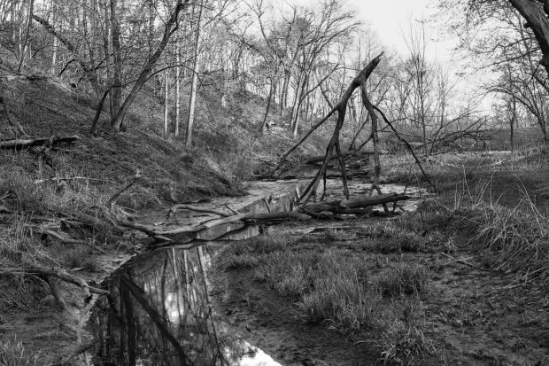 Meeting October 19 @ Fontenelle Forest Nature Center