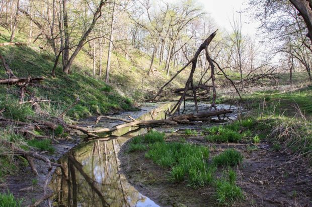 January 19, 2023 Meeting Cancelled @ Fontenelle Forest Nature Center