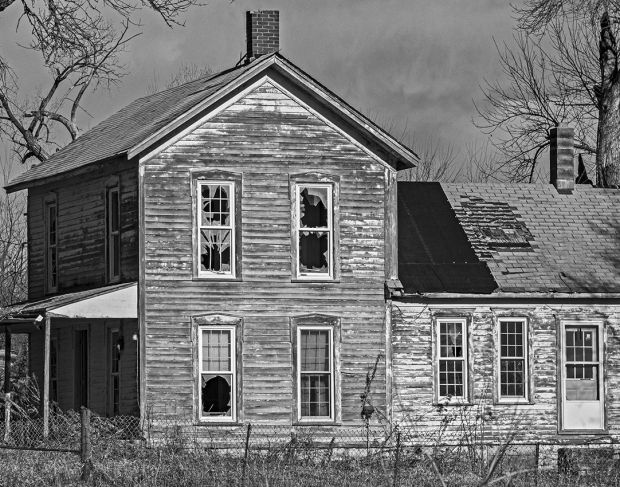 Wildflower hike at Fontenelle Forest @ Fontenelle Forest