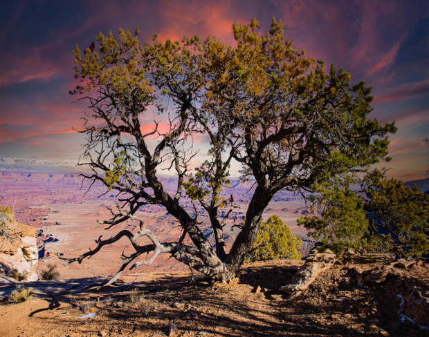 Wildflower hike at Fontenelle Forest @ Fontenelle Forest