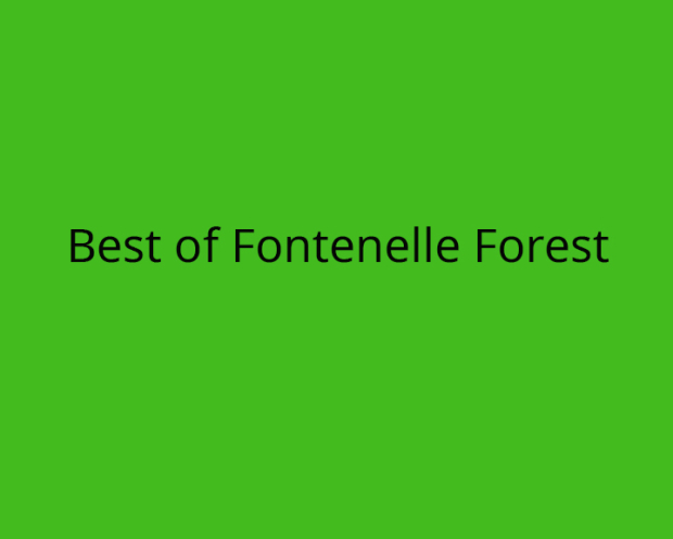 Wildflower hike at Fontenelle Forest @ Fontenelle Forest