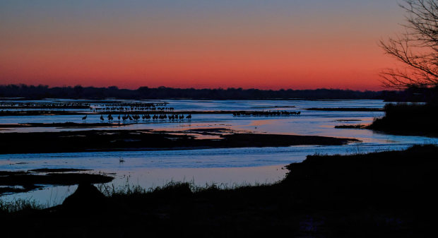 Wildflower hike at Fontenelle Forest @ Fontenelle Forest