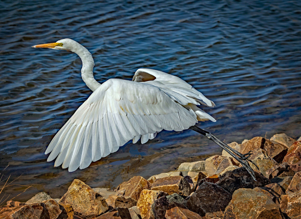 Wildflower hike at Fontenelle Forest @ Fontenelle Forest