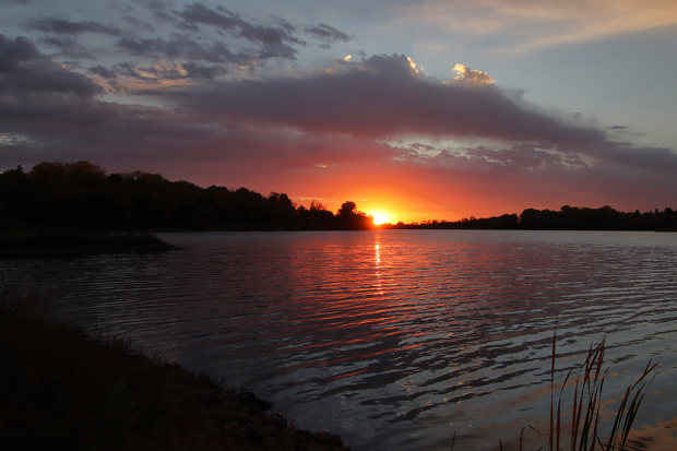 Wildflower hike at Fontenelle Forest @ Fontenelle Forest