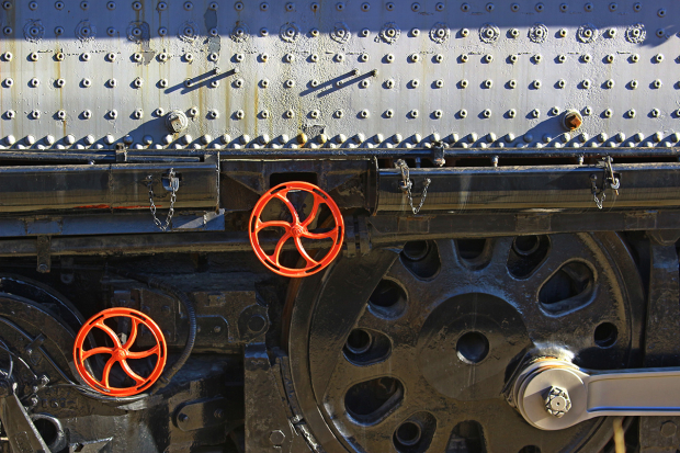 Wildflower hike at Fontenelle Forest @ Fontenelle Forest
