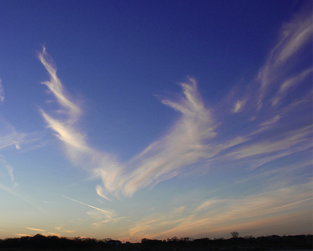 Wildflower hike at Fontenelle Forest @ Fontenelle Forest