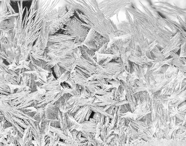 Wildflower hike at Fontenelle Forest @ Fontenelle Forest