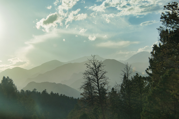 Wildflower hike at Fontenelle Forest @ Fontenelle Forest
