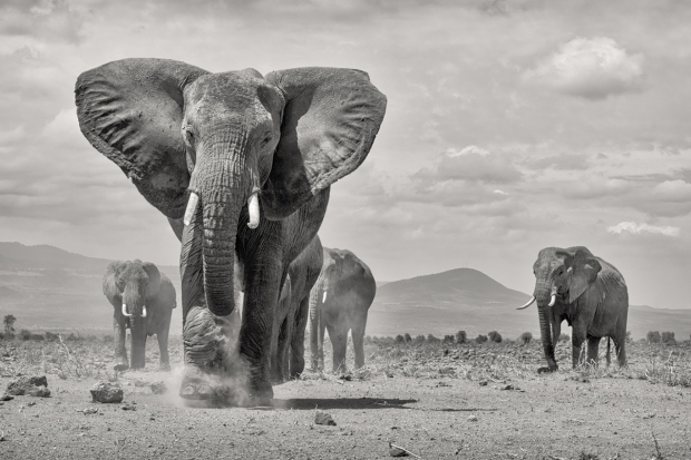 Wildflower hike at Fontenelle Forest @ Fontenelle Forest