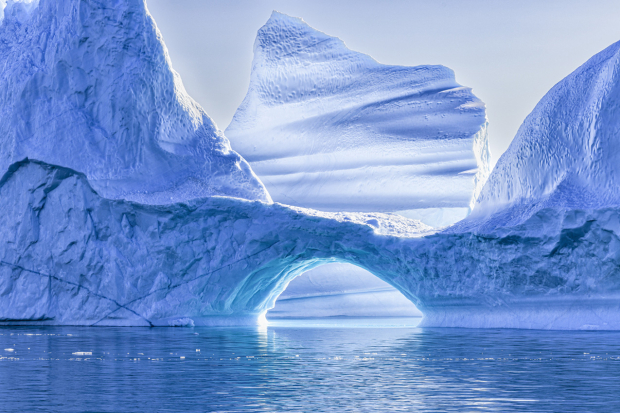 Wildflower hike at Fontenelle Forest @ Fontenelle Forest