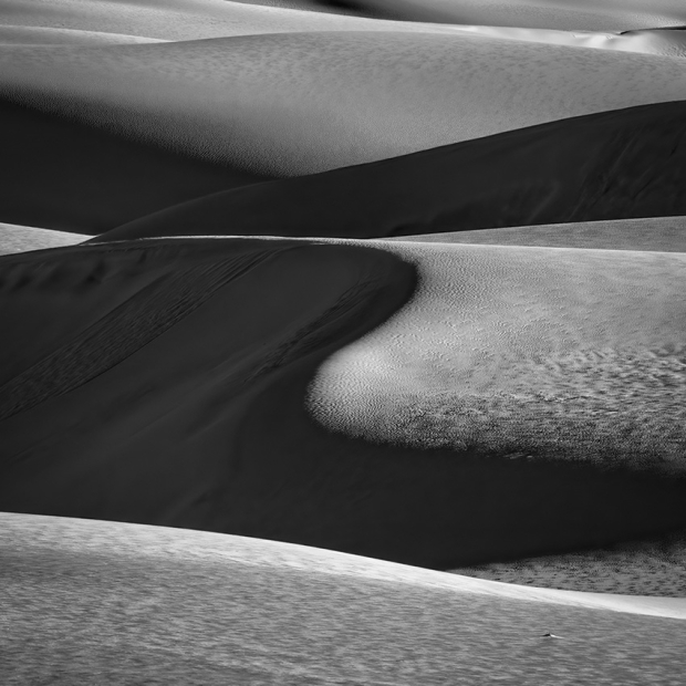 Wildflower hike at Fontenelle Forest @ Fontenelle Forest