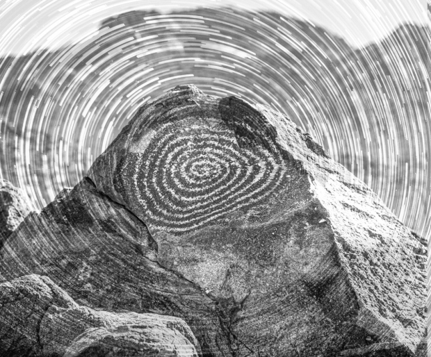 Wildflower hike at Fontenelle Forest @ Fontenelle Forest