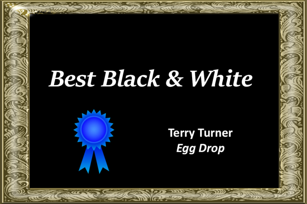 Wildflower hike at Fontenelle Forest @ Fontenelle Forest