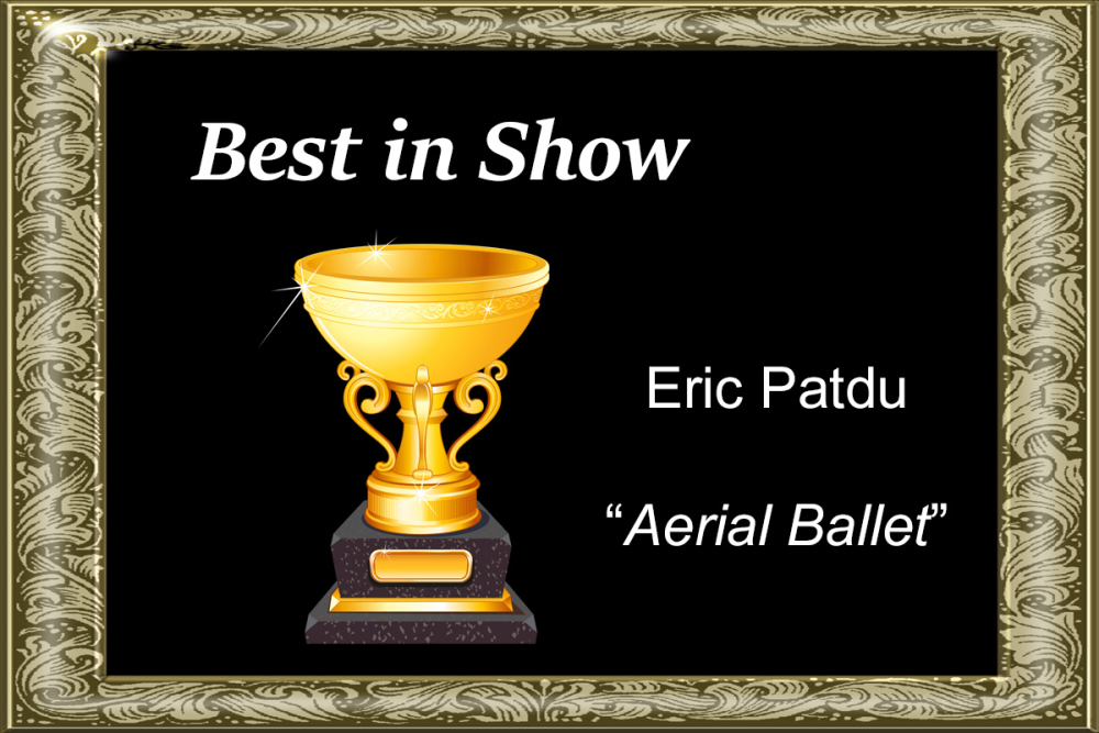 Best in Show