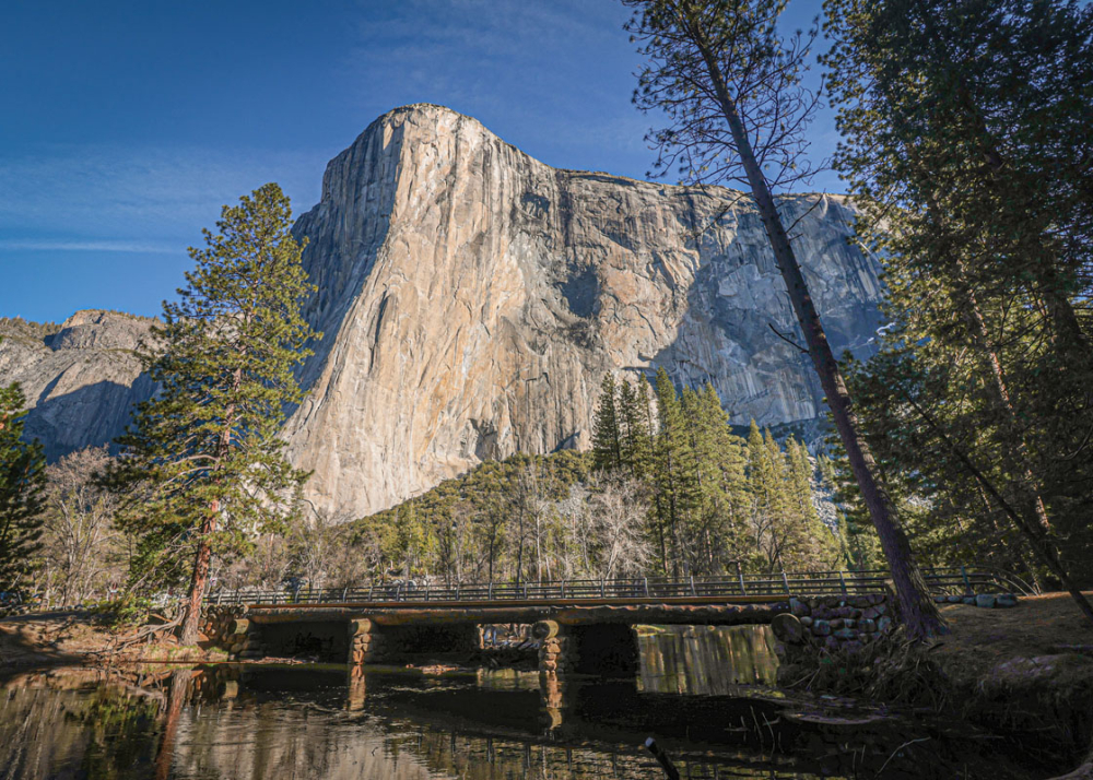 Bridge to Serenity