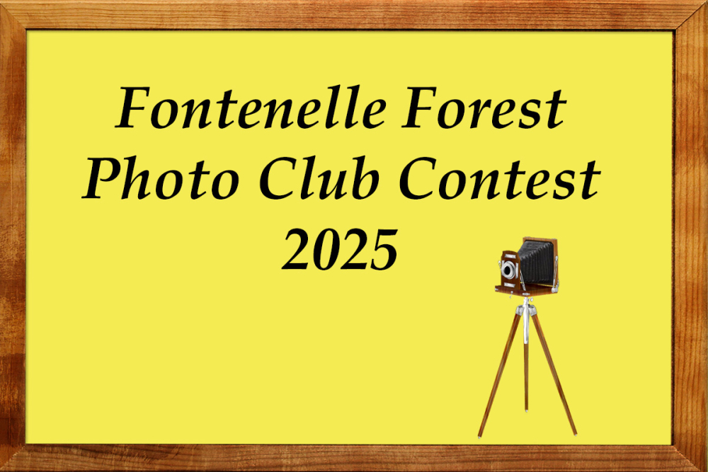 Contest Cover