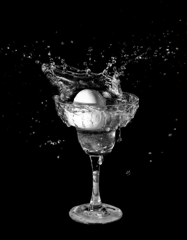 Wildflower hike at Fontenelle Forest @ Fontenelle Forest