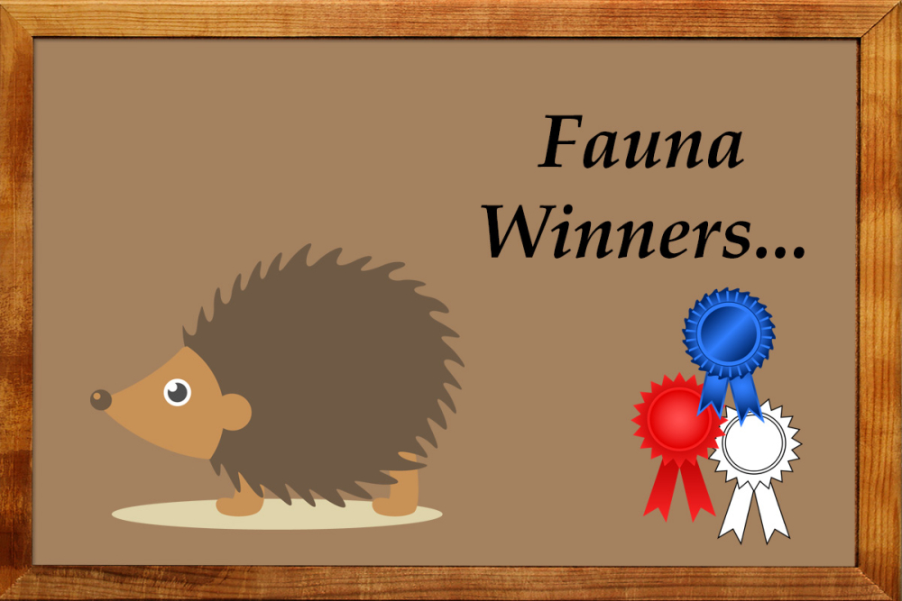 Fauna Winners
